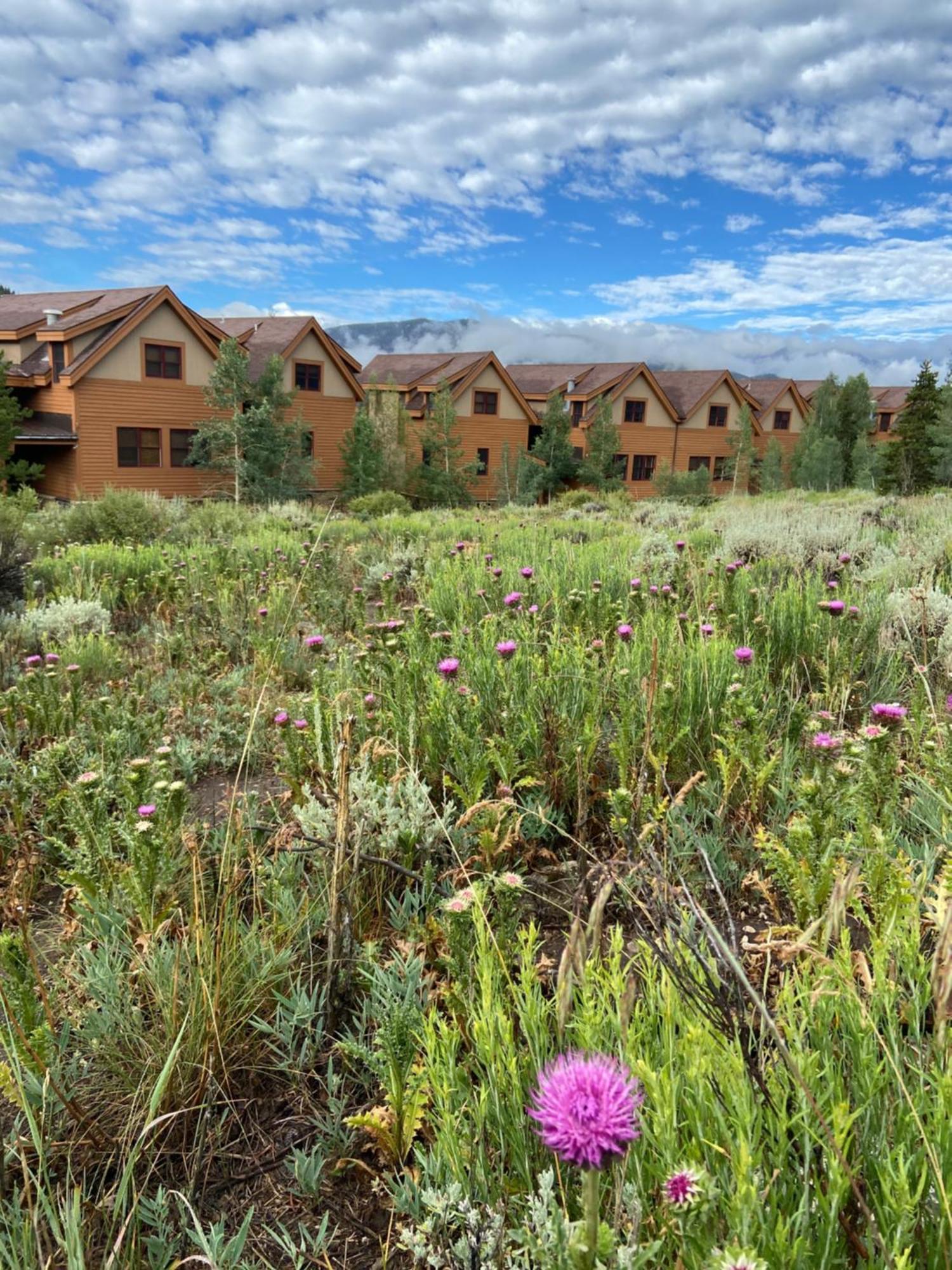 Antlers Gulch 303 By Summitcove Lodging Кистон Экстерьер фото